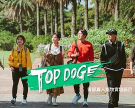 黑料社区《TOP DOG》免费在线观看