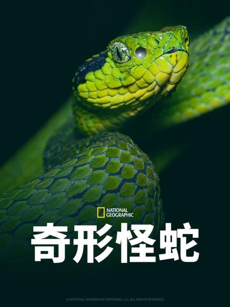 黑料社区网《奇形怪蛇》免费在线观看